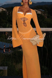 Seaside Goddess Crochet Knit Hollow Out Golden Ring Long Sleeve Cover-up Maxi Dress