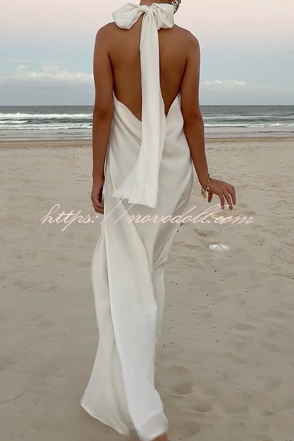 Floral Embellished Satin Halterneck Backless Resort Maxi Dress