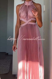 Stunning Choice Satin Pleated Halter High Neck Cutout Waist Backless Maxi Dress