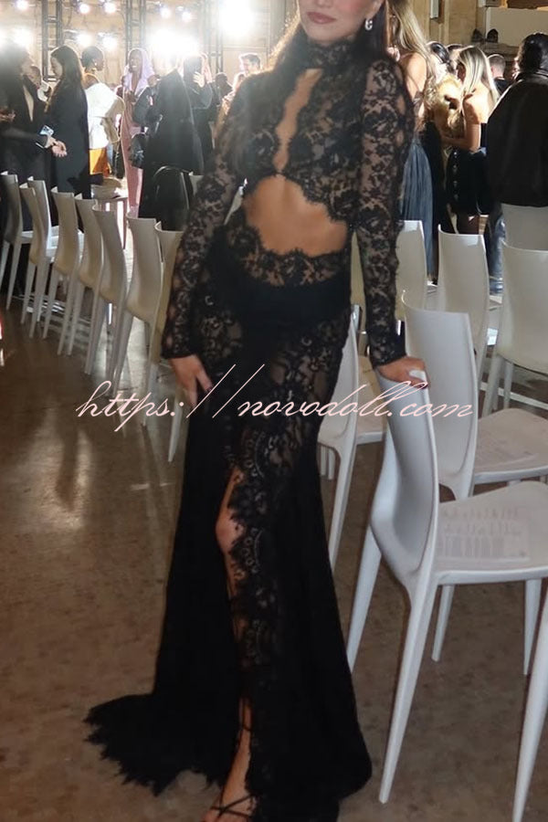 Dark Night Charm Sheer Lace Cutout Long Sleeve Stretch Maxi Dress