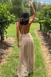 Ethereal Moment Tulle Cutout Ruched Waist Backless Halter Maxi Dress
