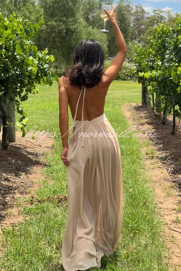 Ethereal Moment Tulle Cutout Ruched Waist Backless Halter Maxi Dress