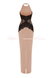 Sexy Halterneck Lace Paneled Backless Slim Maxi Dress