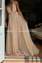 Ethereal Moment Tulle Cutout Ruched Waist Backless Halter Maxi Dress