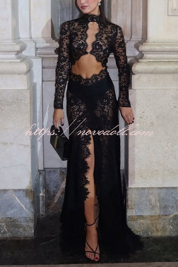 Dark Night Charm Sheer Lace Cutout Long Sleeve Stretch Maxi Dress