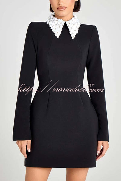 Alisha Contrast Floral Appliqué Pointed Collar Long Sleeve Pocketed Mini Dress